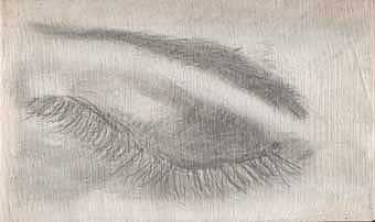 ojo - técnica mixta sobre tela, 18x31'7cms, 2007