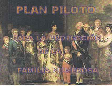 plan piloto para la proteccin de la familia numerosa