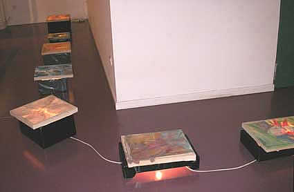 Jardn (instalacin) - leo sobre tela invertida y cajas de luz, medidas variables, 2005-06